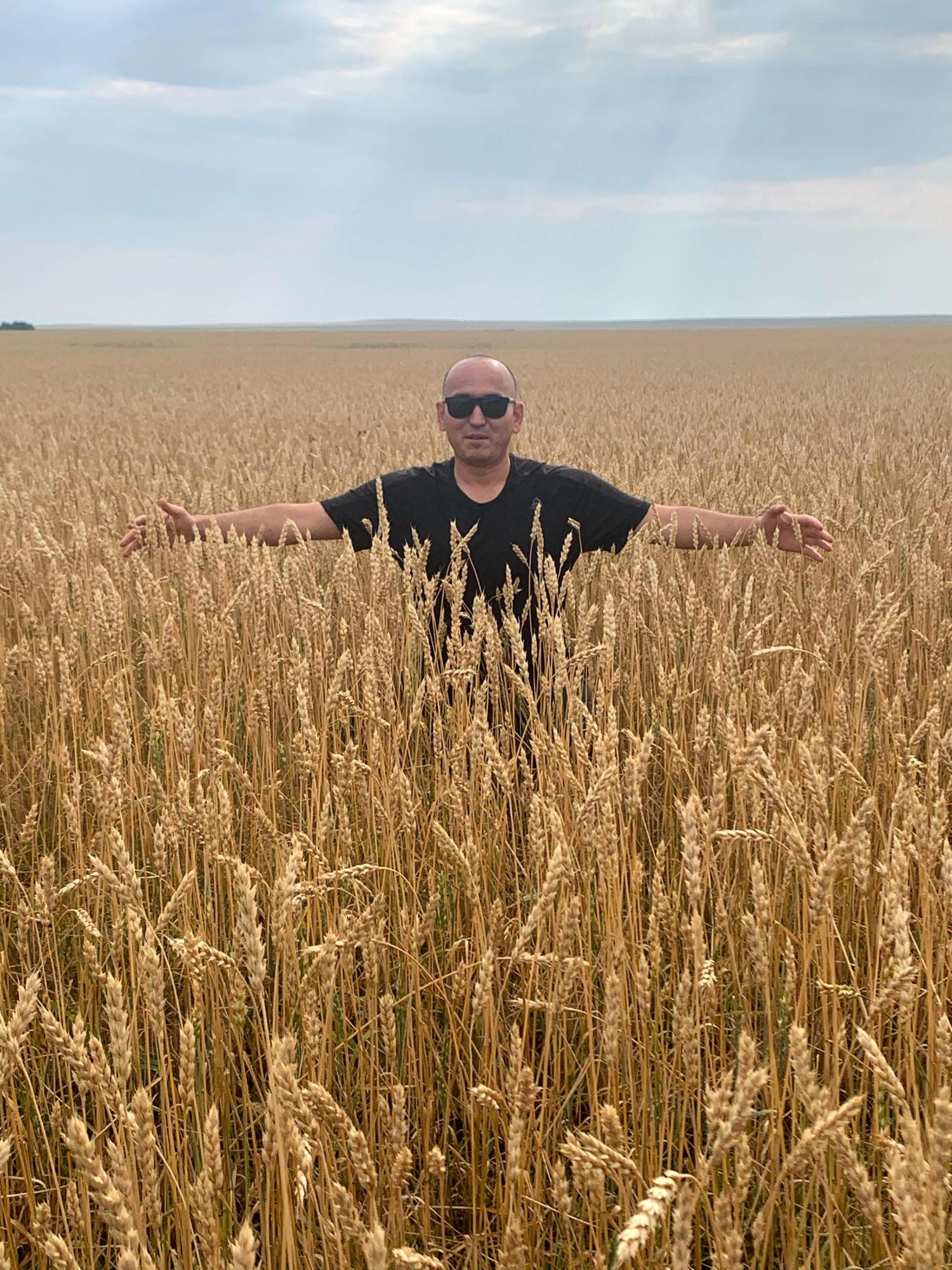 Снижения цен на зерно ожидают в Казахстане