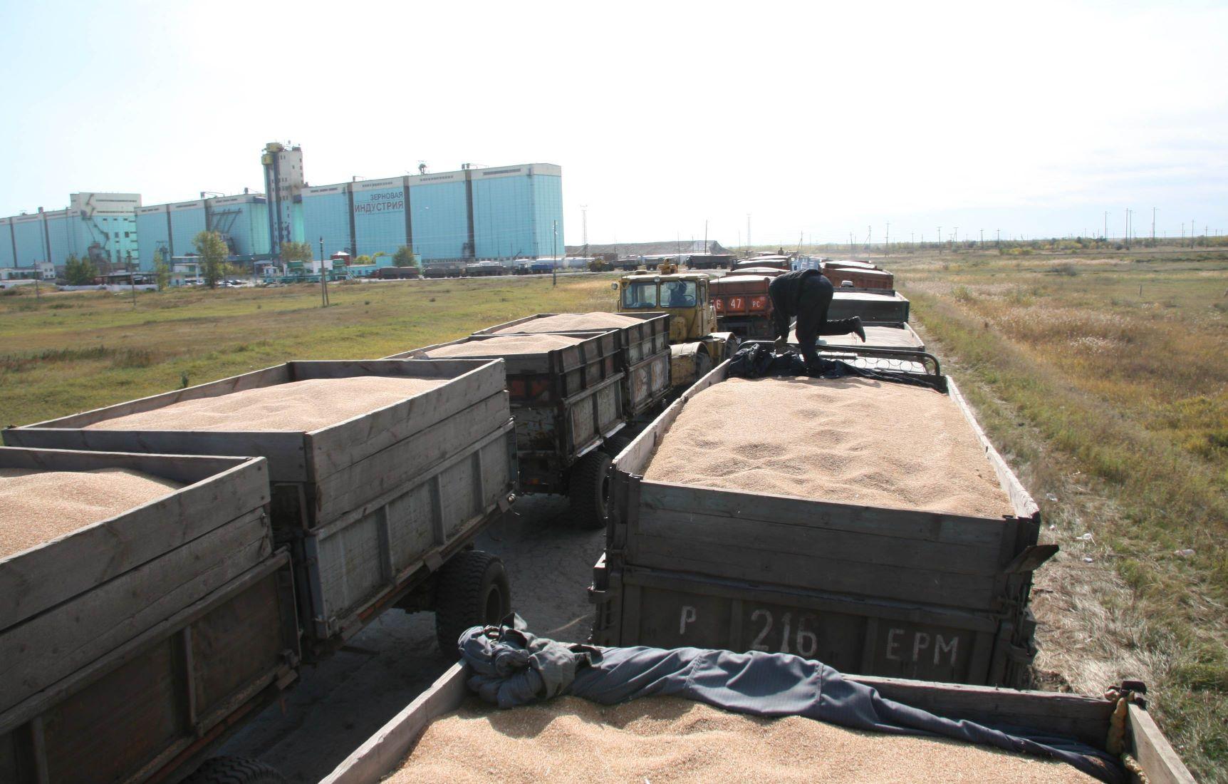 Ввести налог на импорт российского зерна предлагают в Казахстане