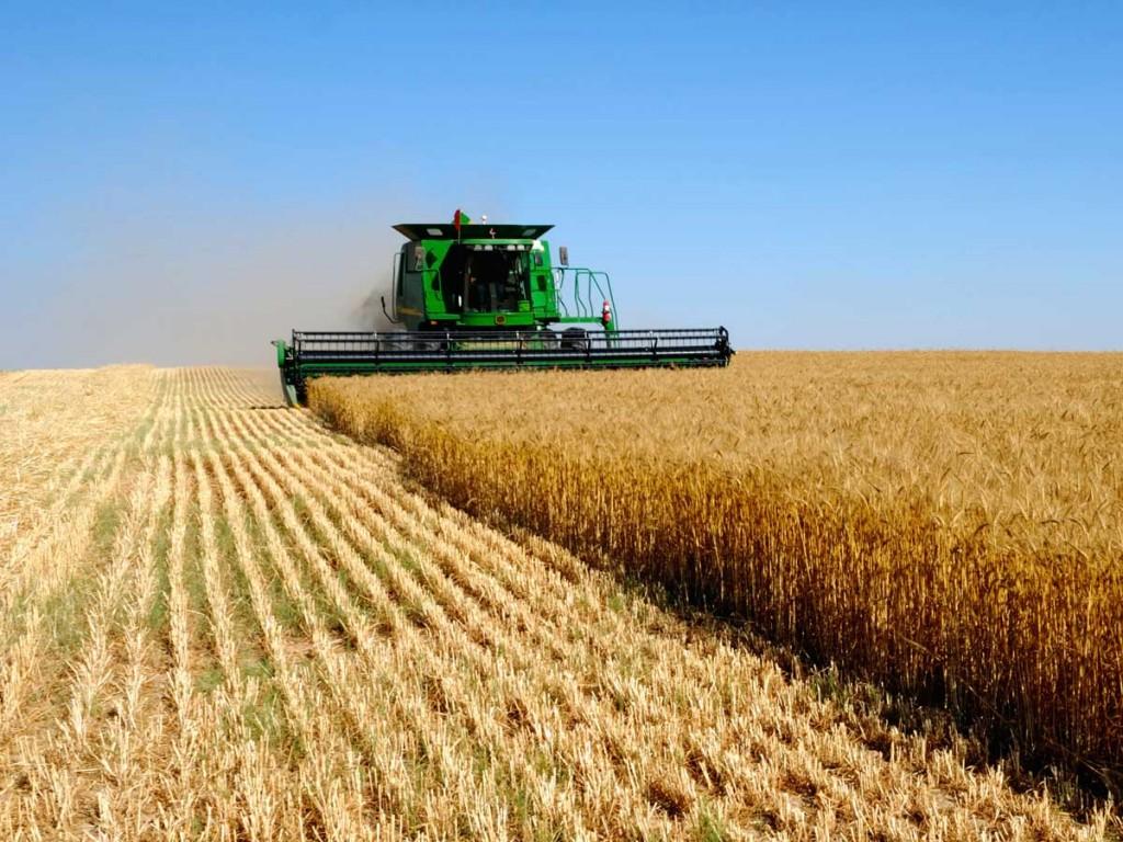 Субсидии направят на сельхозмашиностроение, сахарную промышленность и семеноводство
