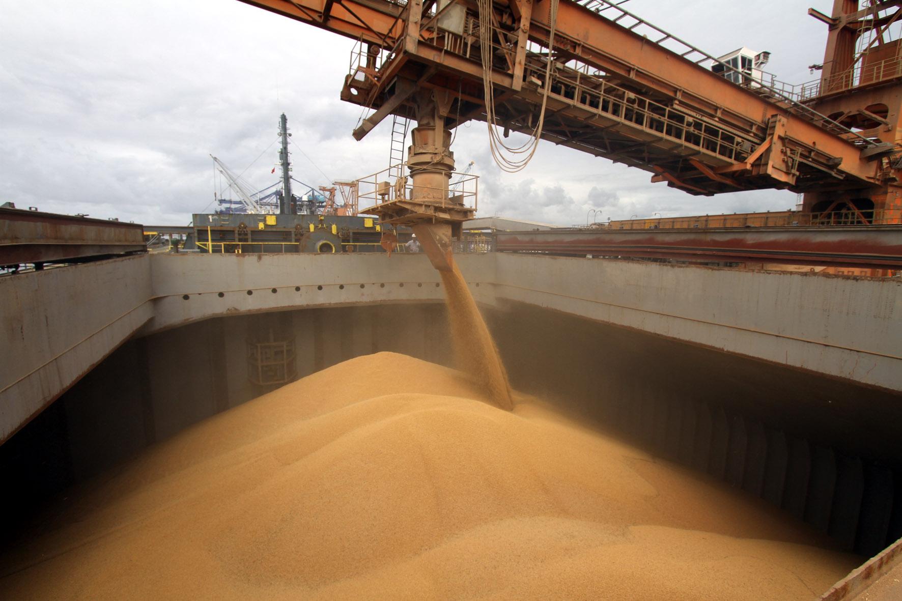 Пшеница «хорошо идет» через зерновой терминал в порту Актау