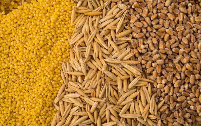 Пшеницу, лен, сою будут сертифицировать по-другому. Новый законопроект рассматривают власти