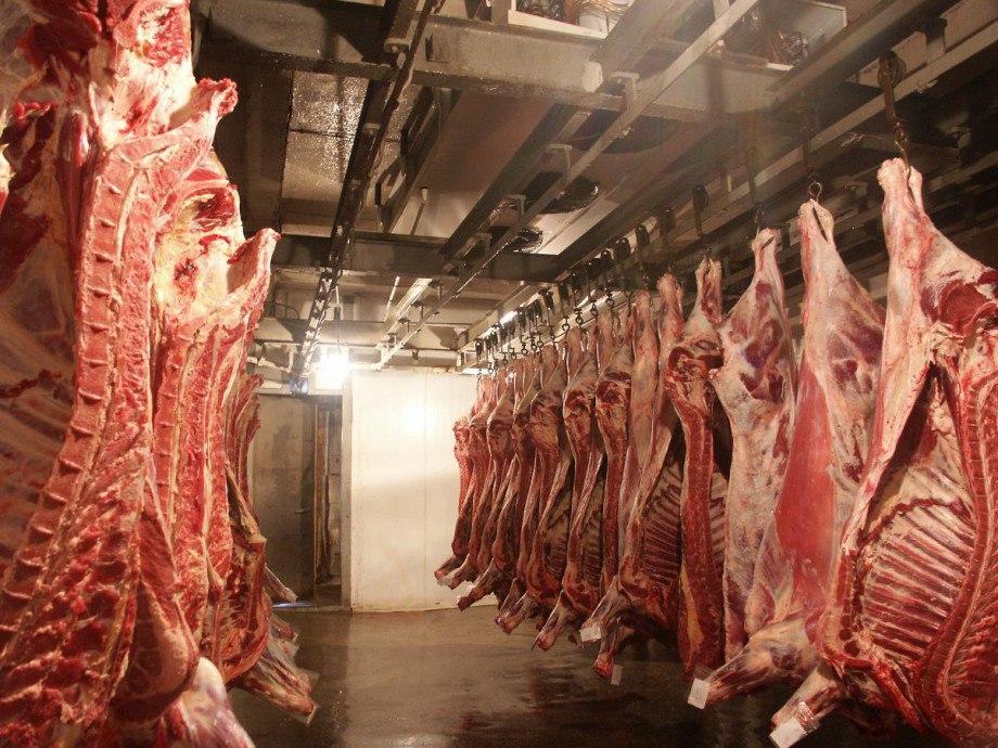 BEEF EXPORT GROUP остановил работу по углублению переработки мяса