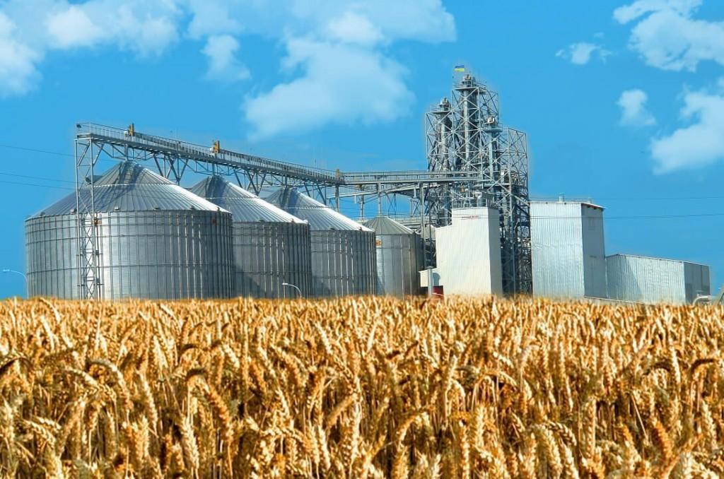 Еще один завод по глубокой переработке пшеницы намерены построить в Северном Казахстане