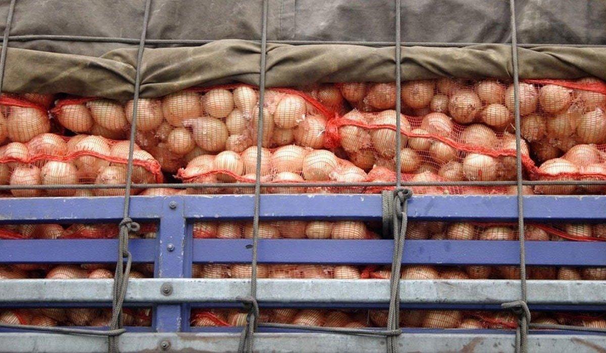 В Казахстане готовится операция по вывозу лука «под прикрытием» 