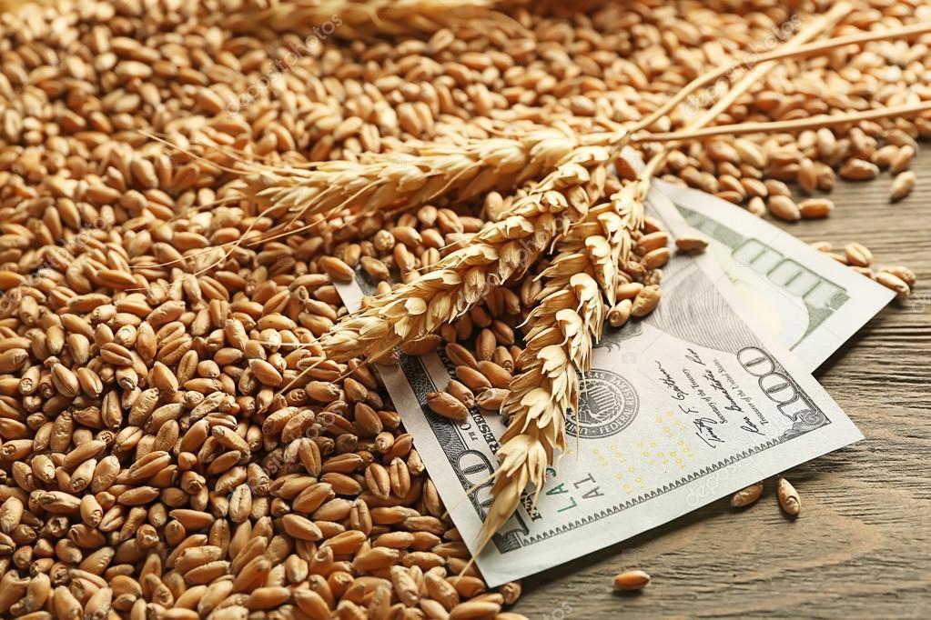 Мировая цена на зерно немного повысилась после трехмесячного снижения