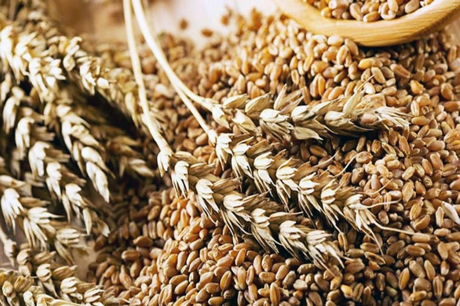 Тонна пшеницы