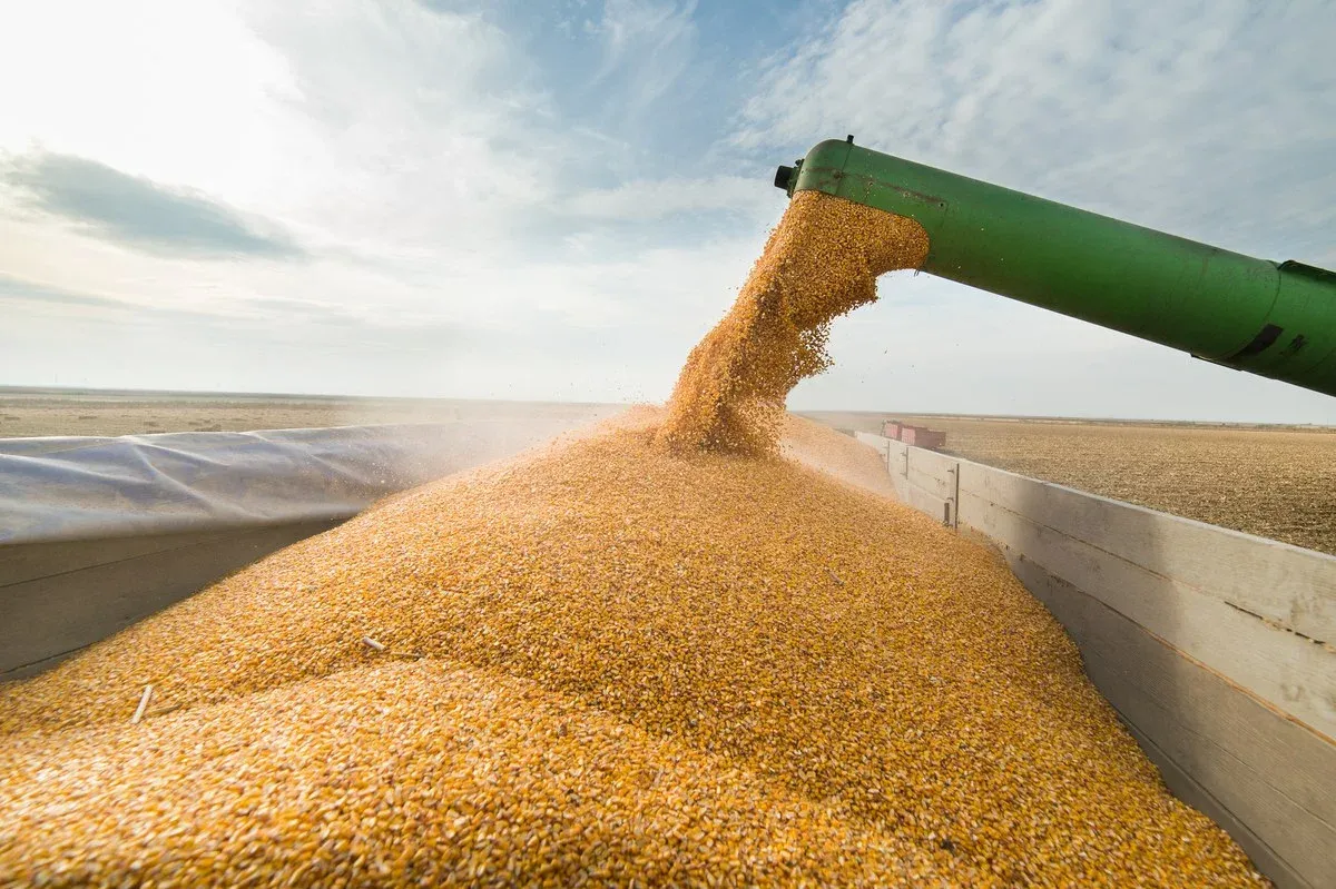 Мировые поставки российской сельхозпродукции блокируются. Продление зерновой сделки под вопросом