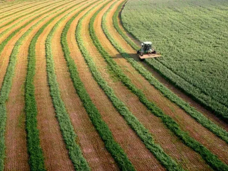Что такое земледелие. Поливное земледелие Израиль. Израиль хозяйство Растениеводство. Земледелие в пустыне. Беспашенное земледелие.