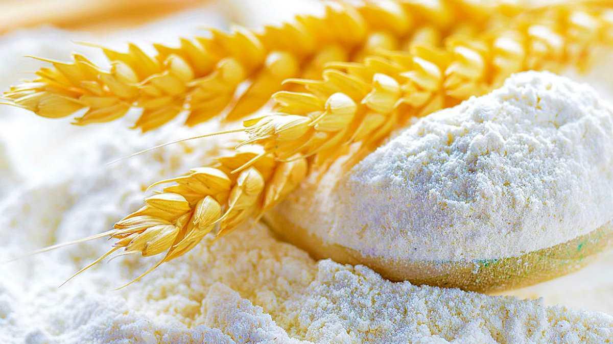 Казахстан увеличит экспорт пшеницы в Таджикистан, в планах – строительство мукомольных заводов 