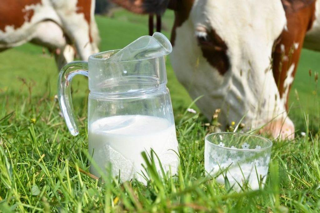 Казахстану удалось нарастить производство молока в первые месяцы 2023