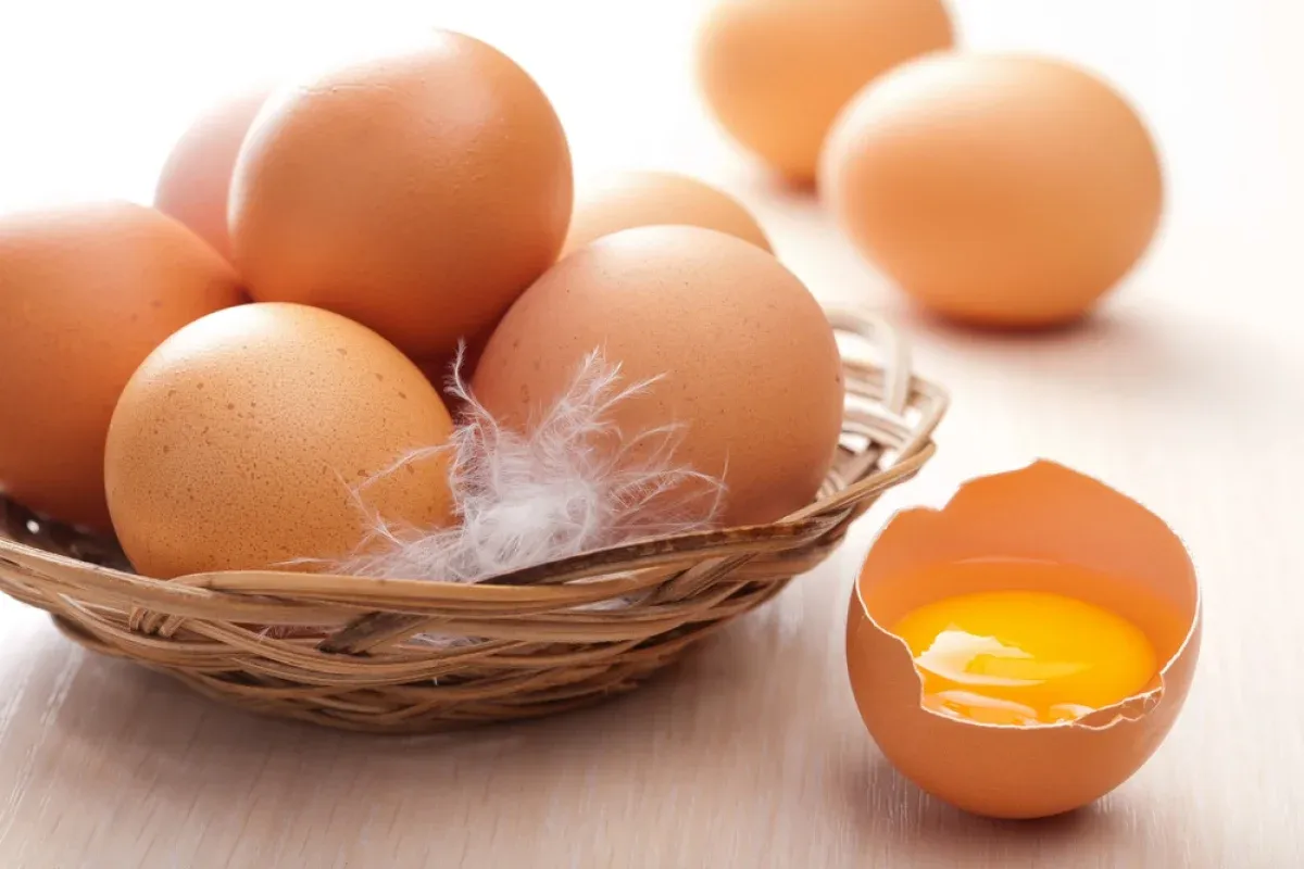 Дефицит яйца и резкий рост цен прогнозируют птицеводы Казахстана