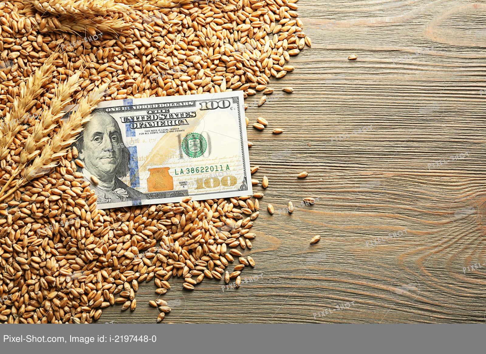 Снижение цены на пшеницу до 50 тыс. тенге прогнозируют в Казахстане