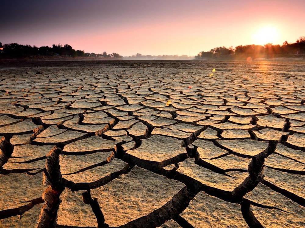 Засуха ждет мир в ближайшие два года - ООН