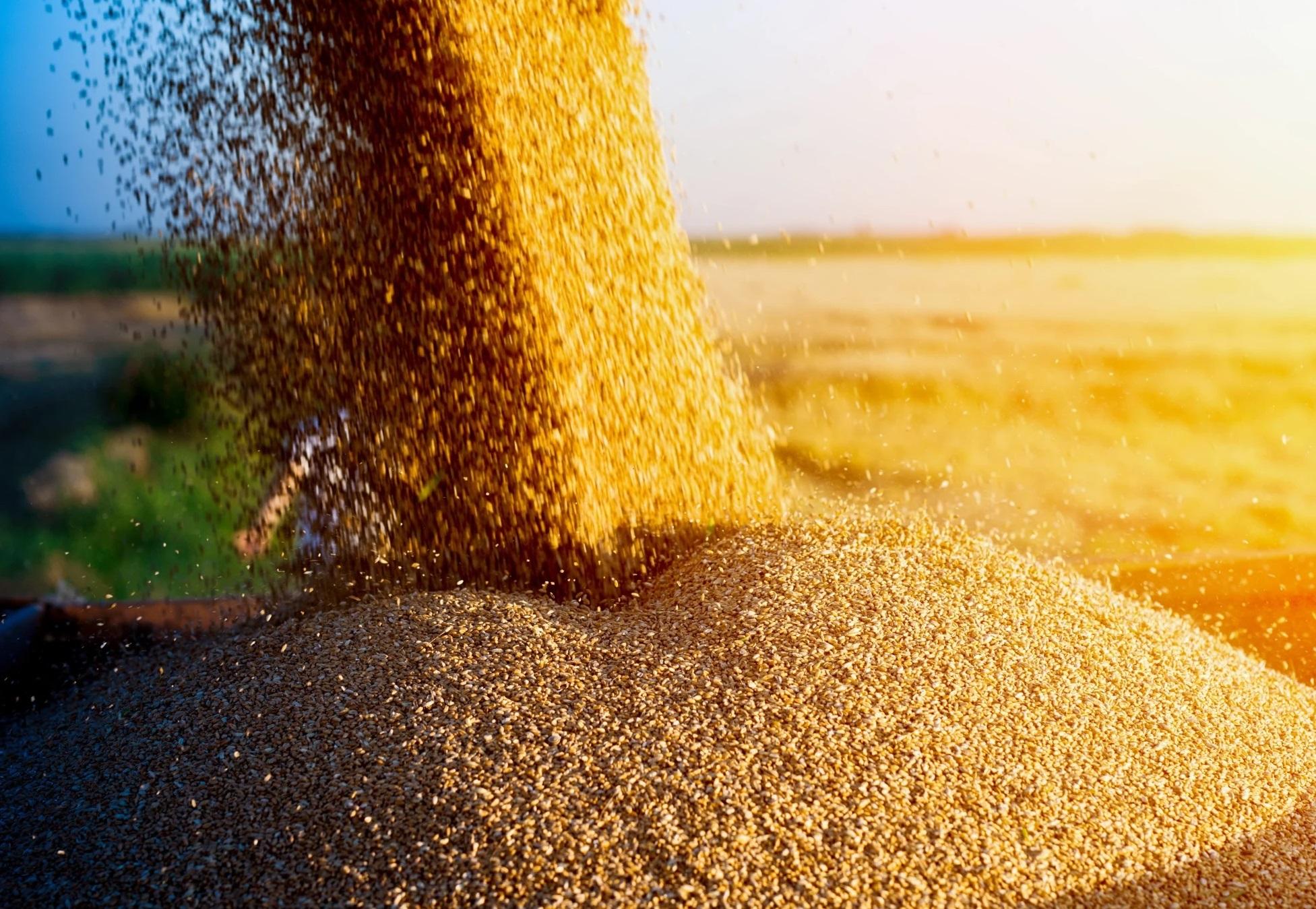 Казахстан вводит запрет на ввоз пшеницы ж/д транспортом