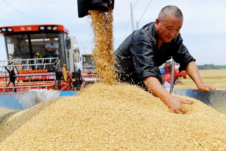  Китай может импортировать у Казахстана до 3,5 млн тонн зерна в год