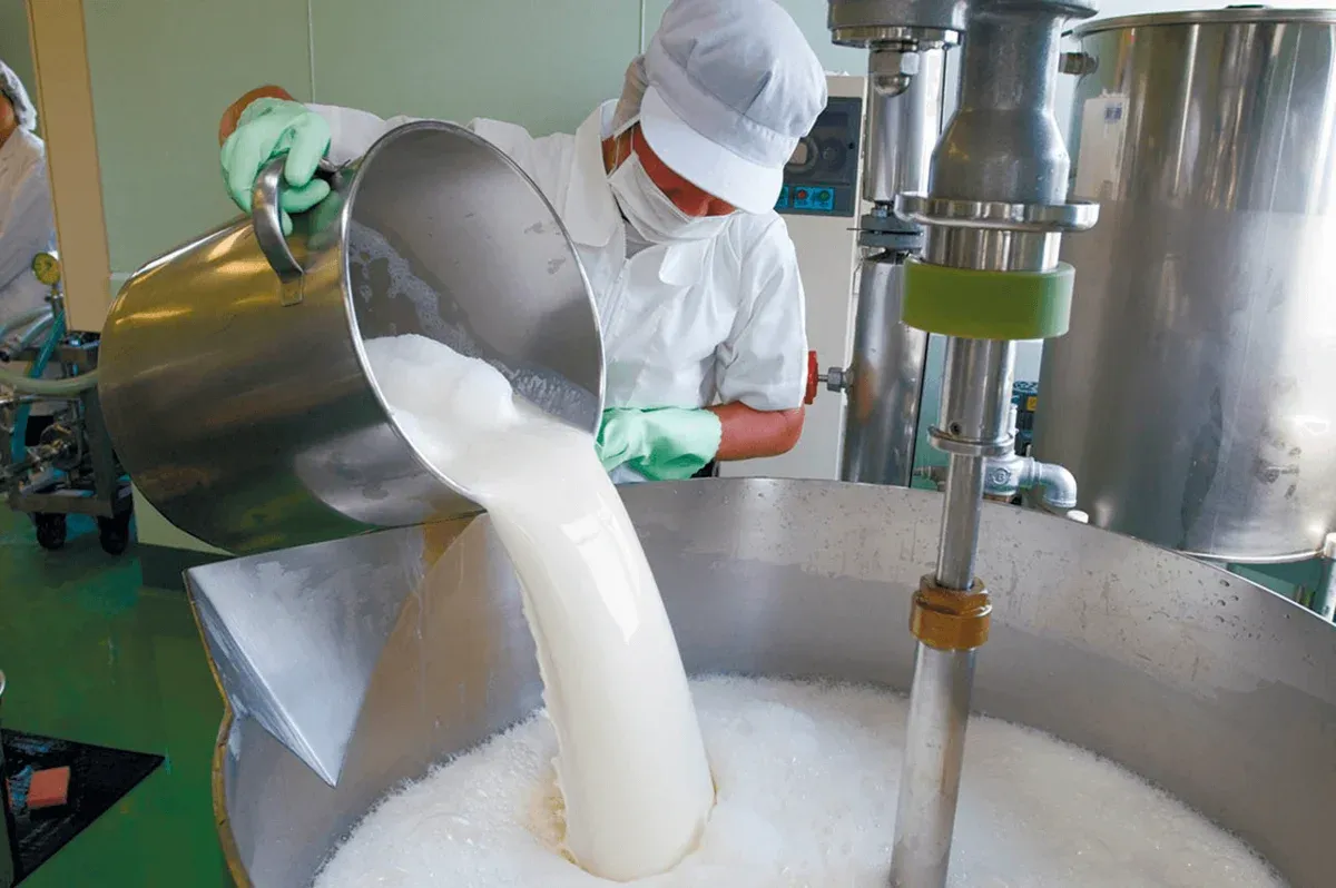 Китай «возродит» завод по переработке молока стоимостью 7 млрд тенге в Туркестане 