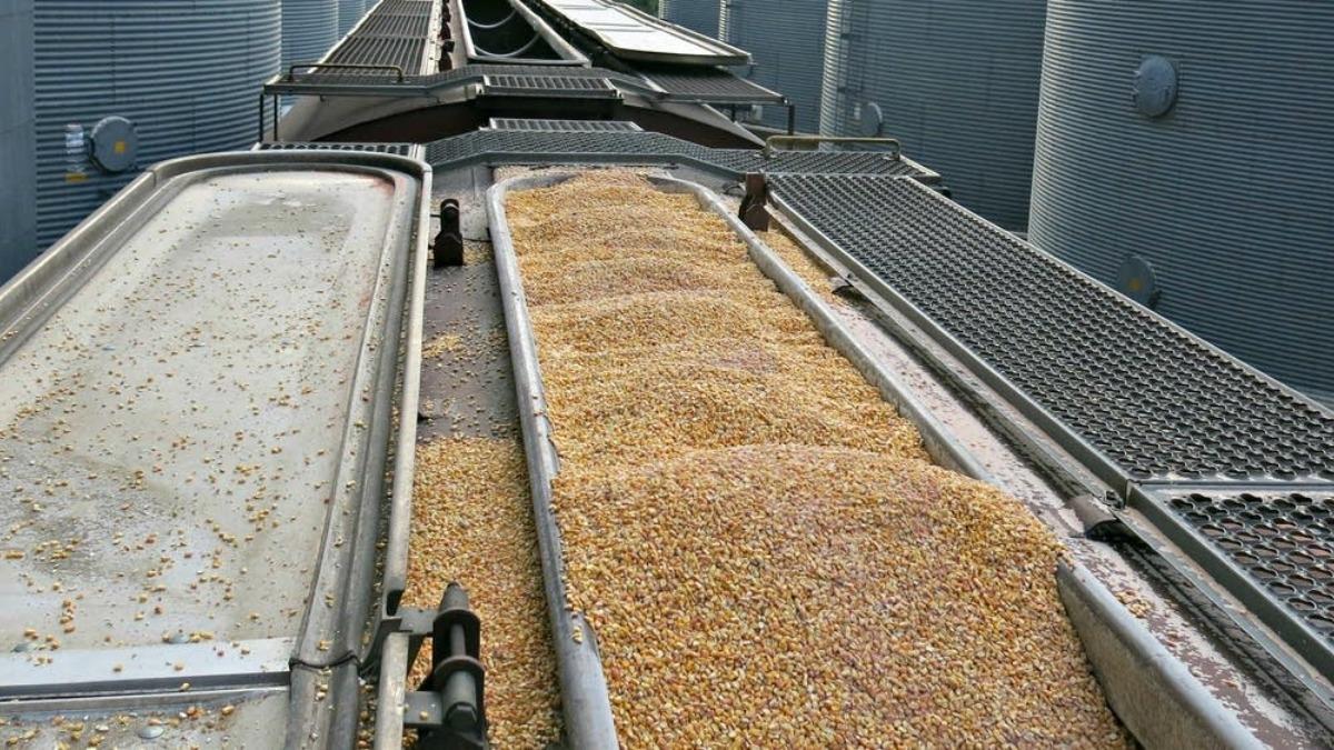 «Астық Транс» не сможет отгрузить запланированные объемы зерна в сентябре 