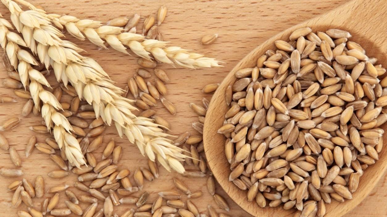 Пшеница дорожает в Казахстане