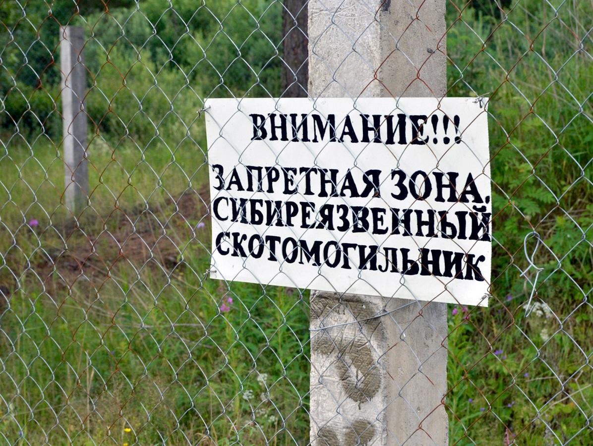 Нарушения захоронений сибирской язвы выявлены в ряде регионов Казахстана