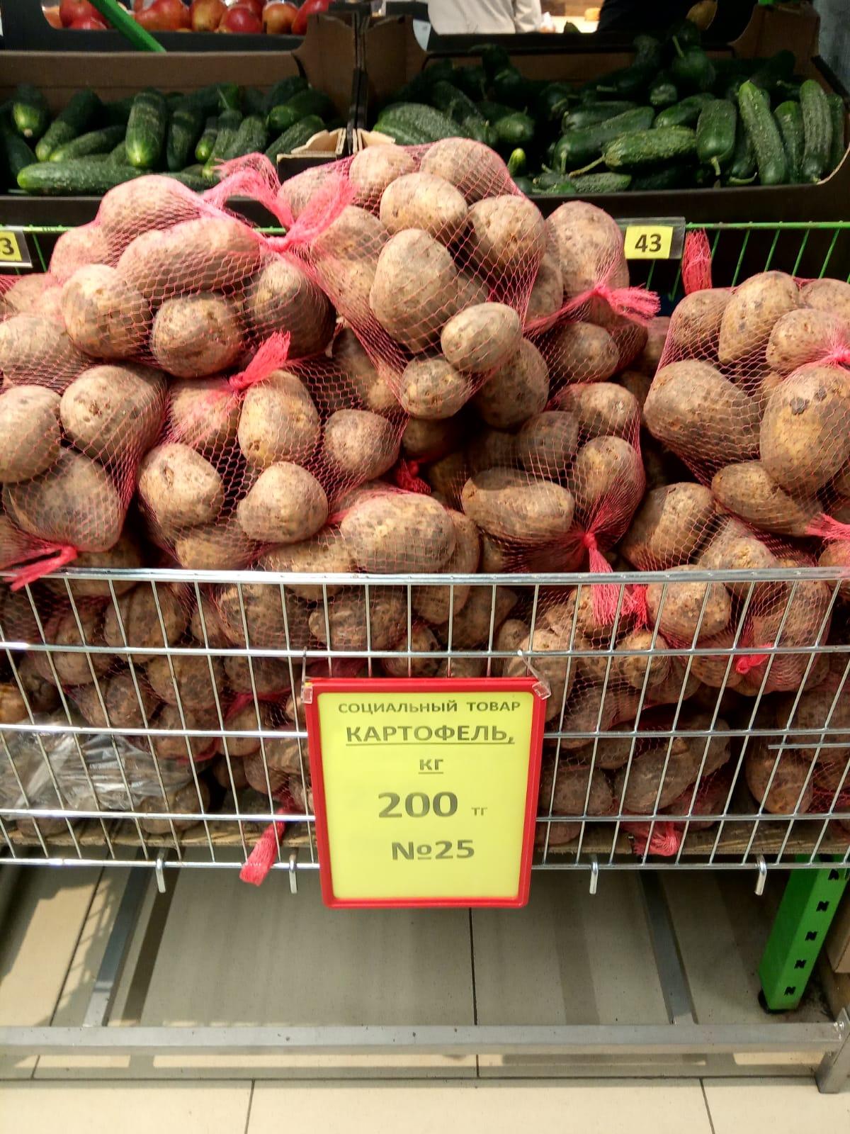 Хорошего урожая картофеля ожидают в Казахстане