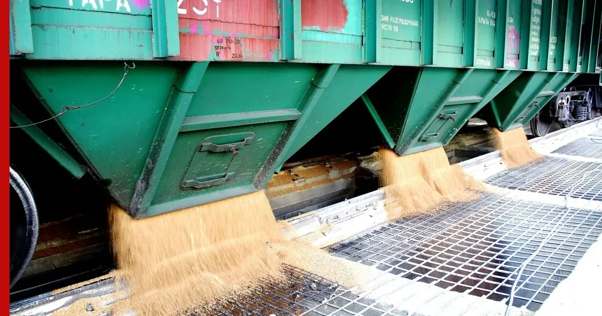 КТЖ запретила прием зерна на экспорт в Китай 