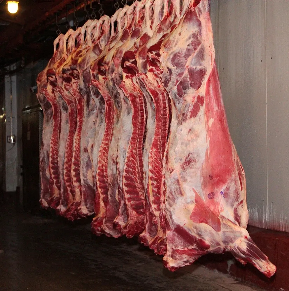 80 тыс. голов скота планирует ежегодно закупать Китай у Казахстана для своего мясокомбината