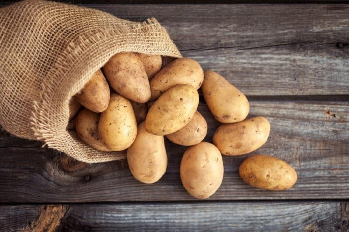 Россия выдавливает казахстанских картофелеводов на экспортных и внутреннем рынках
