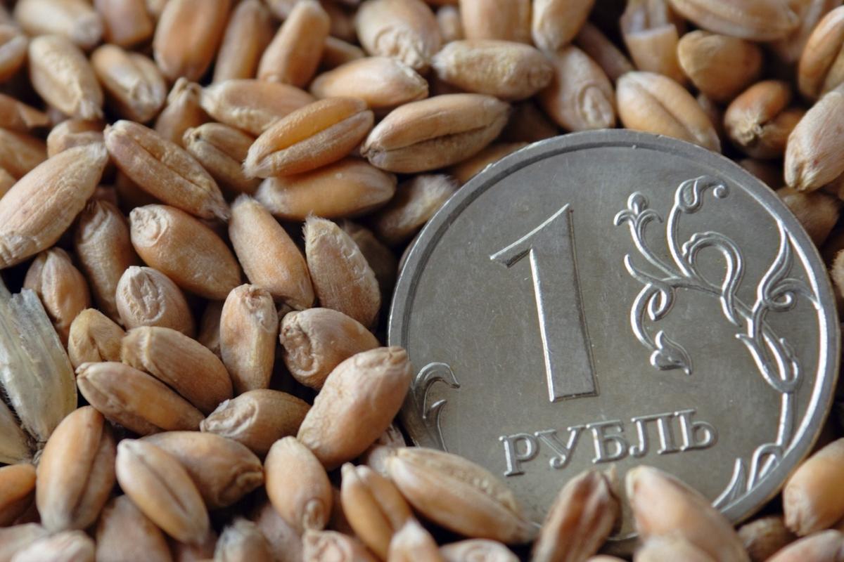 Россия введет цифровые зерновые активы для расчета в международных сделках