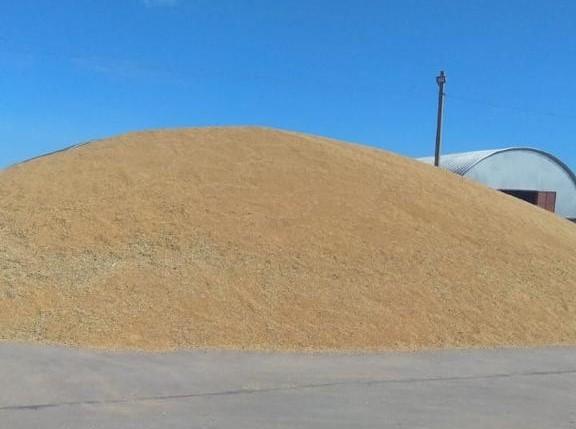 Продкорпорация продает зерно пострадавшим от паводка по 60 тыс. тенге за тонну