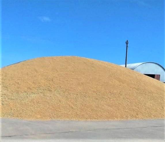 Новый проект по экспорту зерна запустила Продкорпорация 