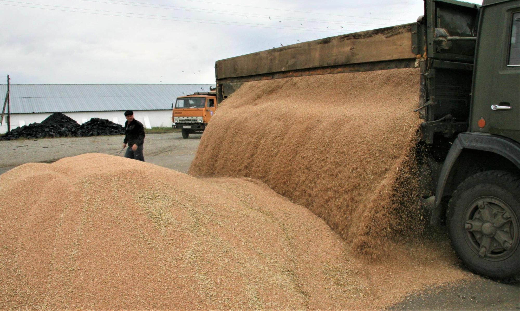 Проблему «серого» импорта зерна из России по-своему решают в Костанайской области