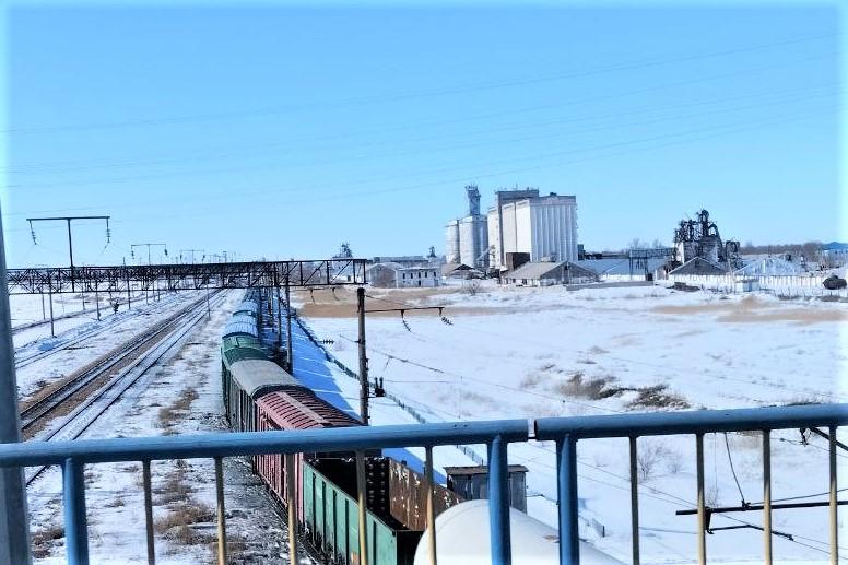 Казахстанское зерно практически не торгуется на экспорт 