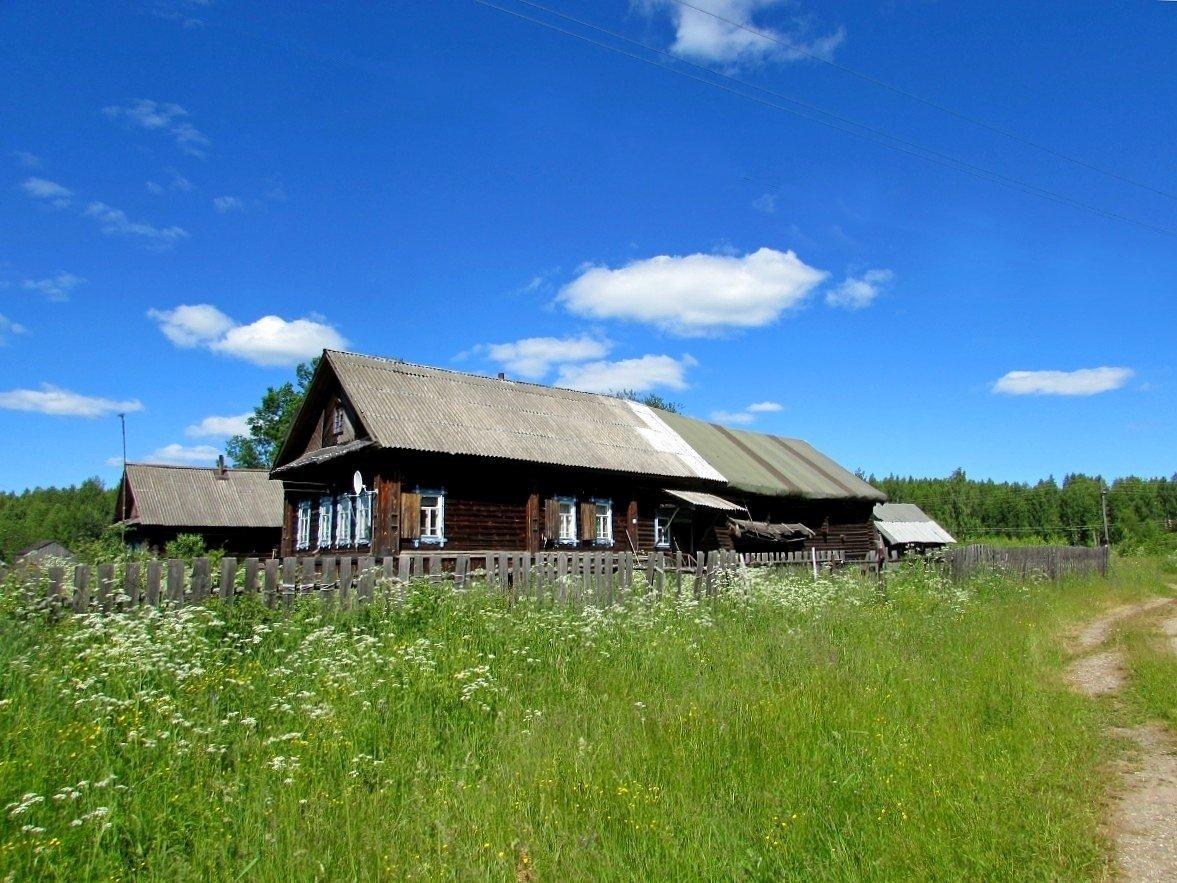 Село костромское. Костромские деревни. Деревня Шода залив травяной.