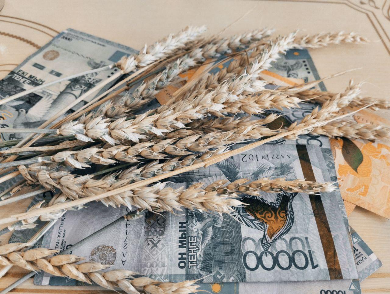 Цена казахстанской пшеницы 3 класса выросла на бирже до 95 тыс. тенге