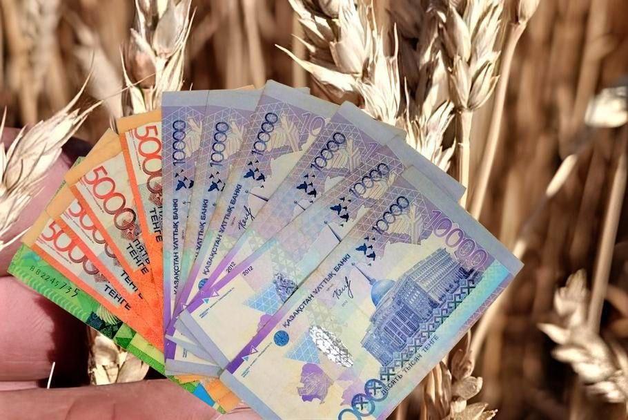 Страхование зерновых от засухи завершила АКК, страхование масличных продолжится до 30 апреля