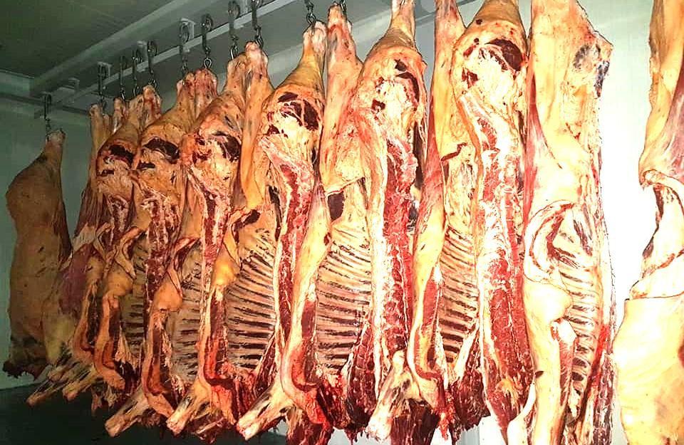 Португальский инвестор вкладывает 132 млн евро в проект мясного животноводства в Казахстане
