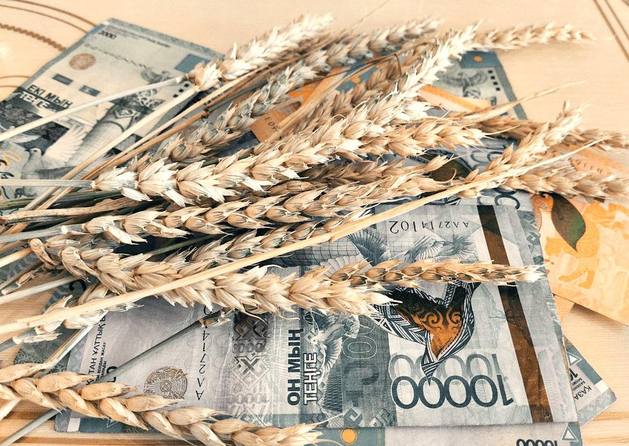 Цена на казахстанскую пшеницу пока стабильна, однако небольшое снижение вполне ожидаемо