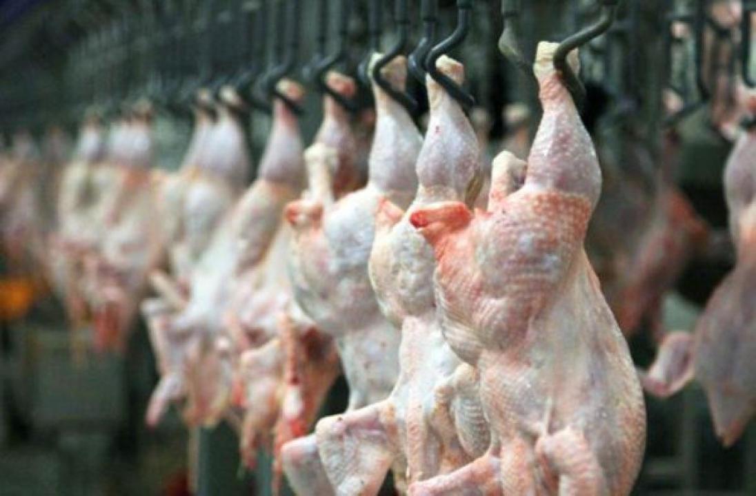 Казахстан признан благополучным по высокопатогенному гриппу птиц