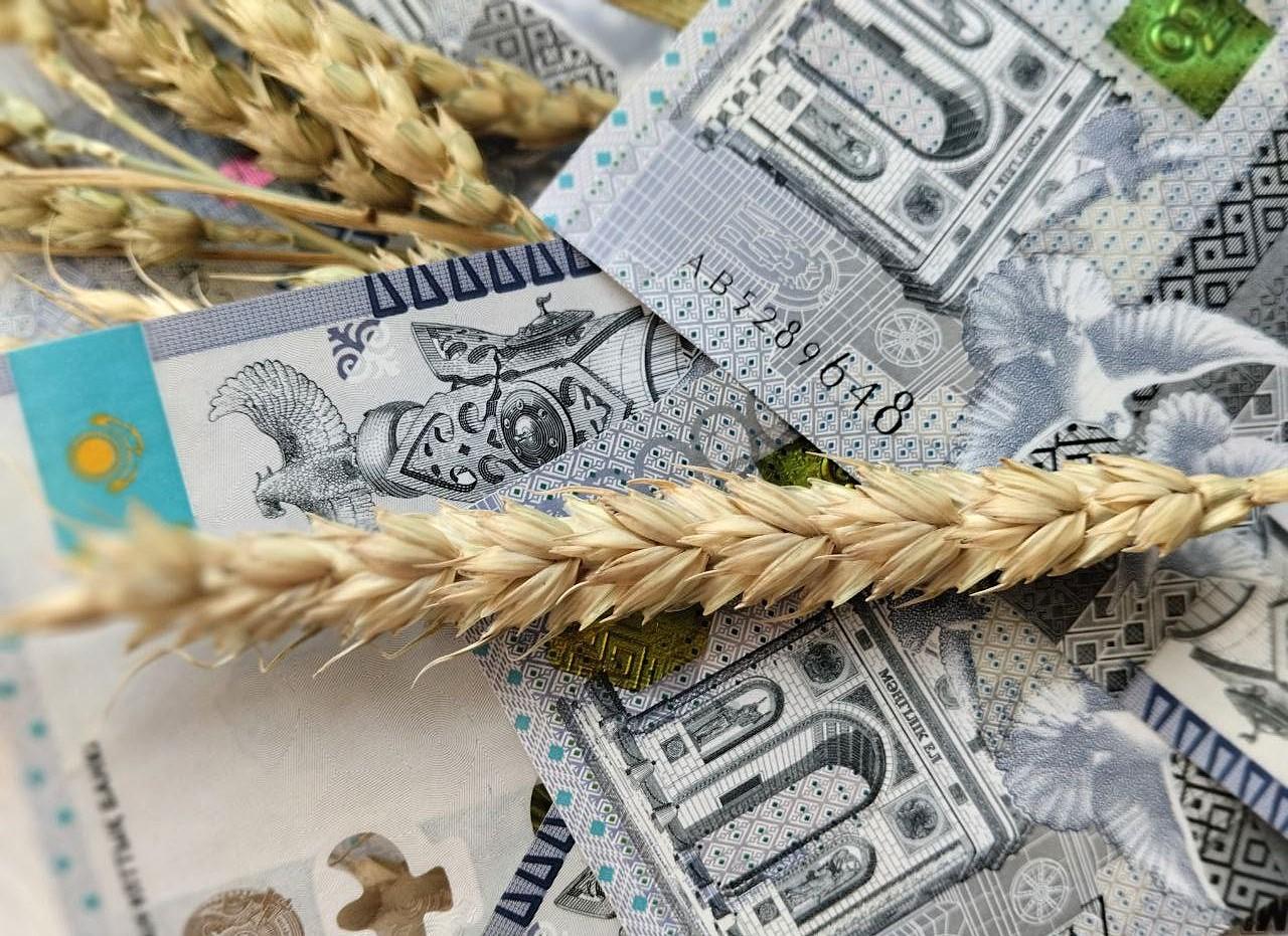Обзор ценовой ситуации на зерновом рынке Казахстана