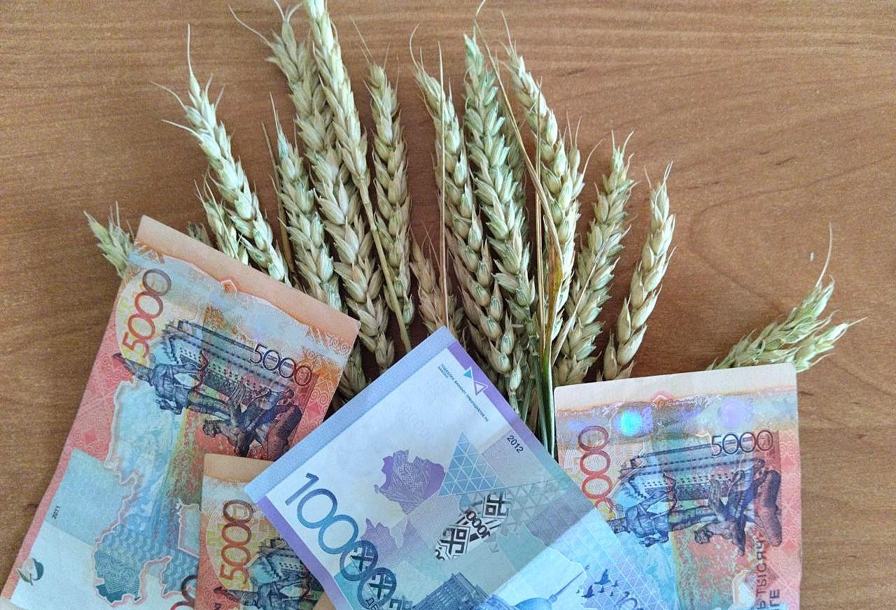 Цены на зерно подросли в Казахстане
