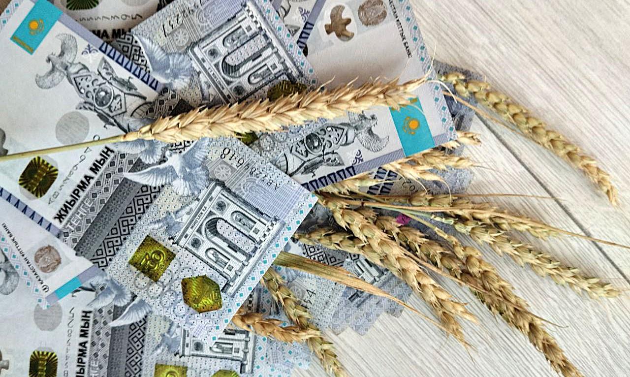 Обзор цен на зерновом рынке Казахстана на 13 июля