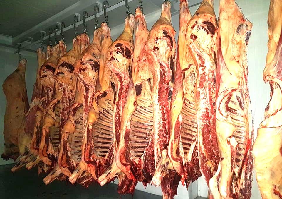 Казахстан начнет поставлять скот и мясо в Иорданию