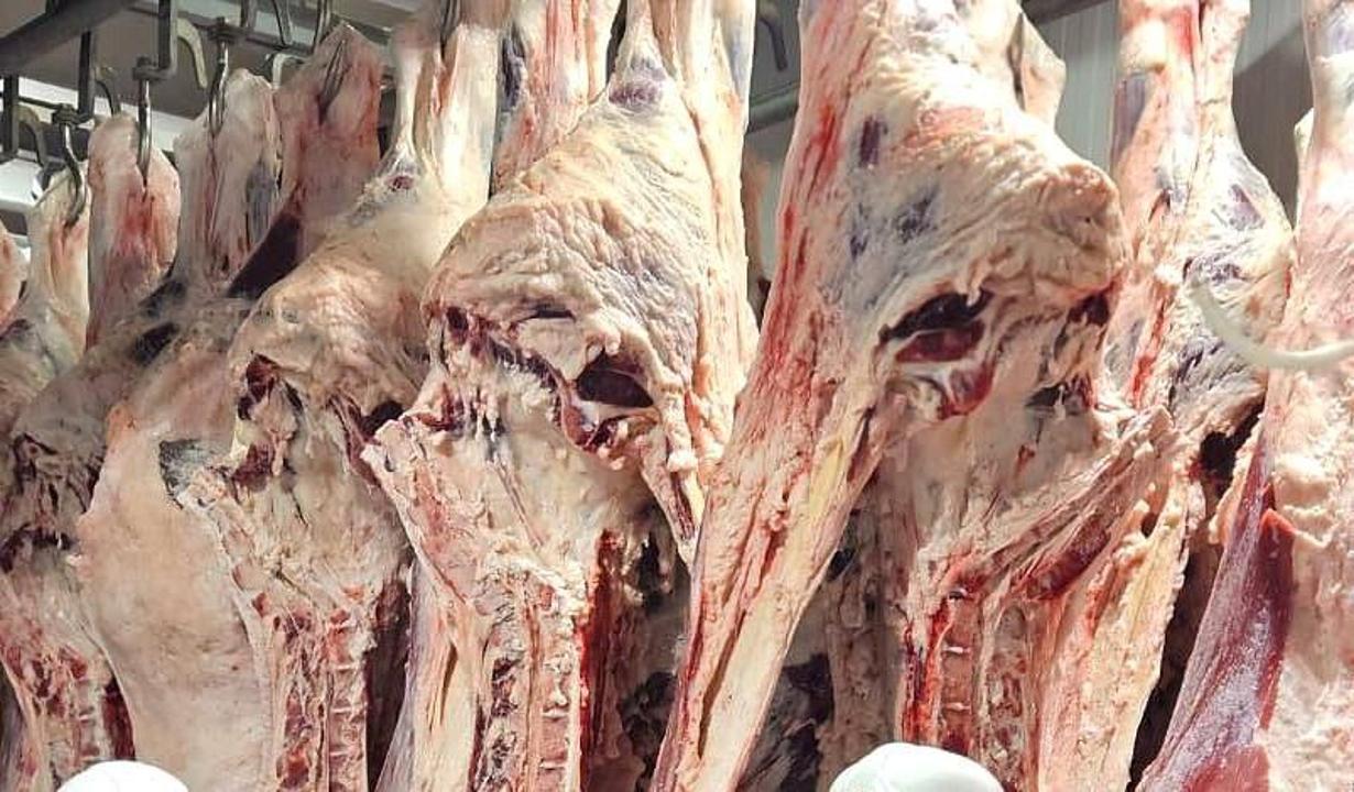 Минсельхоз опроверг информацию о возможном заражении от мяса сайги