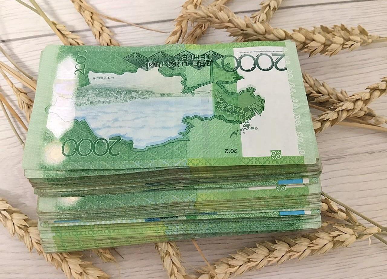 Обзор ценовой ситуации на зерновом рынке Казахстана - изображение