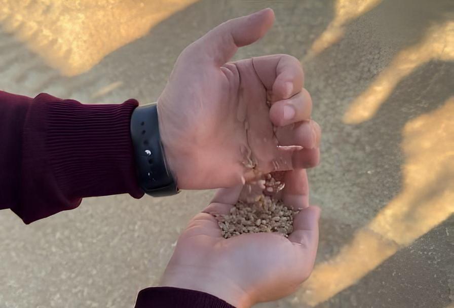 Глобального падения цен на пшеницу в ближайшее время не предвидится - изображение