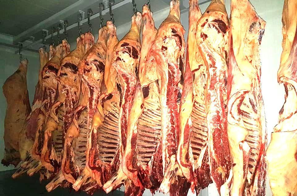 Казахстан открыл новый экспортный маршрут убойного скота - изображение