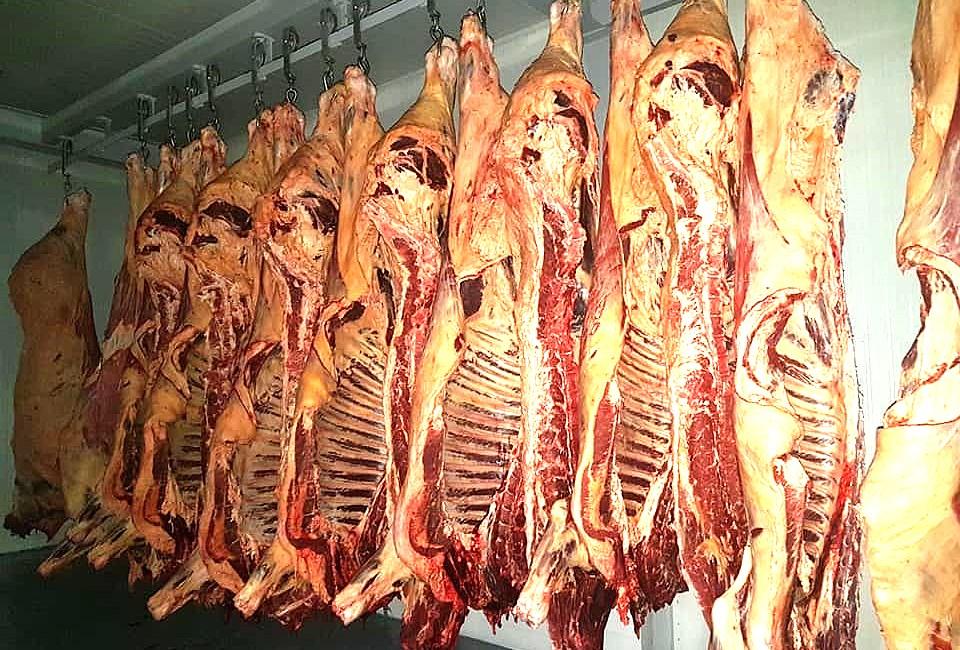 Запрет на экспорт говядины рассматривают в Казахстане - изображение