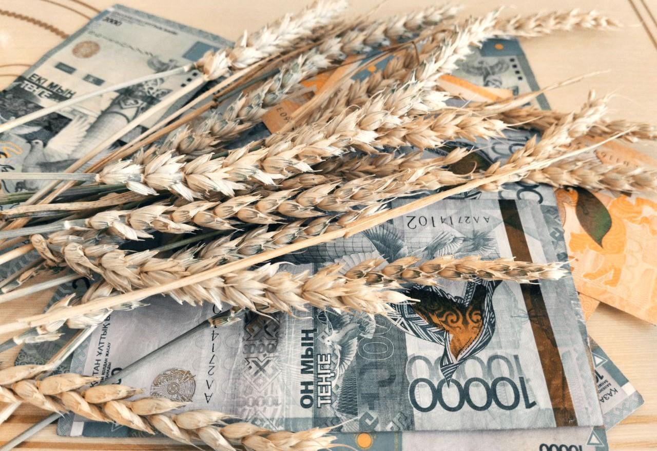 Цены на новый урожай спрогнозировал Зерновой Союз Казахстана - изображение