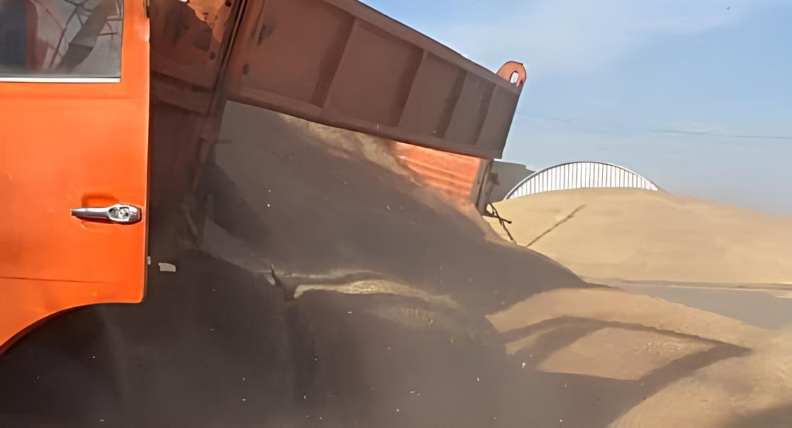 6,7 млн тонн пшеницы в закромах Казахстана на начало сентября - изображение