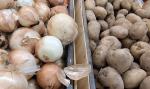 Рост импорта и снижение экспорта лука и картофеля прогнозируют в Казахстане - превью